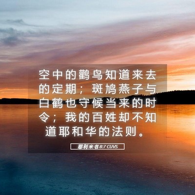 Picture 05 - 耶 利 米 书 8:7 CUVS - 空 中 的 鹳 鸟 知 道 来 去 的 定 期 - Bible Verse Picture