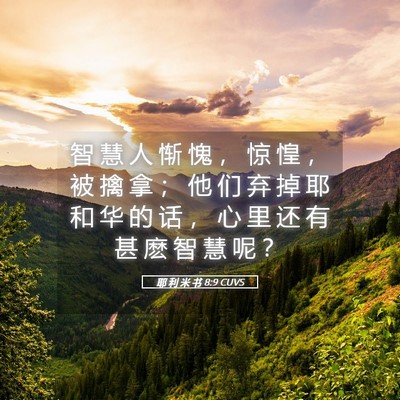 Picture 05 - 耶 利 米 书 8:9 CUVS - 智 慧 人 惭 愧 ， 惊 惶 ， 被 擒 拿 - Bible Verse Picture