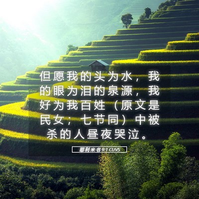 Picture 05 - 耶 利 米 书 9:1 CUVS - 但 愿 我 的 头 为 水 ， 我 的 眼 为 - Bible Verse Picture