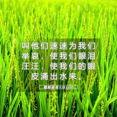 Picture 05 - 耶 利 米 书 9:18 CUVS - 叫 他 们 速 速 为 我 们 举 哀 ， 使 - Bible Verse Picture