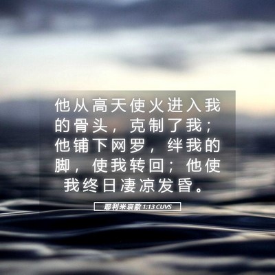 Picture 05 - 耶 利 米 哀 歌 1:13 CUVS - 他 从 高 天 使 火 进 入 我 的 骨 头 - Bible Verse Picture