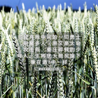 Picture 05 - 耶 利 米 哀 歌 1:15 CUVS - 主 轻 弃 我 中 间 的 一 切 勇 士 ， - Bible Verse Picture