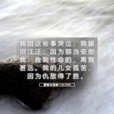 Picture 05 - 耶 利 米 哀 歌 1:16 CUVS - 我 因 这 些 事 哭 泣 ； 我 眼 泪 汪 - Bible Verse Picture