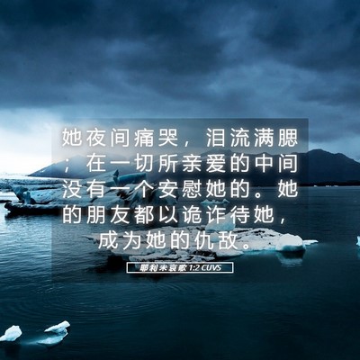 Picture 05 - 耶 利 米 哀 歌 1:2 CUVS - 她 夜 间 痛 哭 ， 泪 流 满 腮 ； 在 - Bible Verse Picture