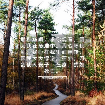 Picture 05 - 耶 利 米 哀 歌 1:20 CUVS - 耶 和 华 啊 ， 求 你 观 看 ， 因 为 - Bible Verse Picture