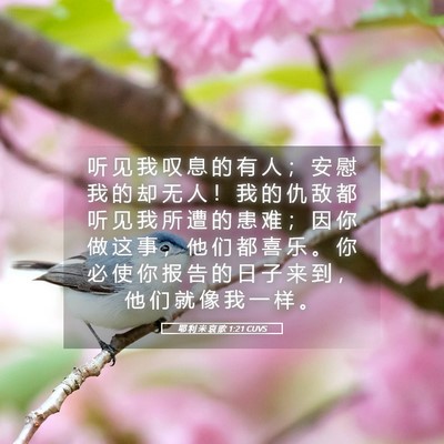 Picture 05 - 耶 利 米 哀 歌 1:21 CUVS - 听 见 我 叹 息 的 有 人 ； 安 慰 我 - Bible Verse Picture