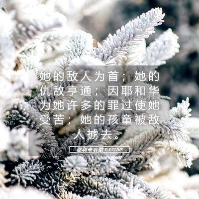 Picture 05 - 耶 利 米 哀 歌 1:5 CUVS - 她 的 敌 人 为 首 ； 她 的 仇 敌 亨 - Bible Verse Picture
