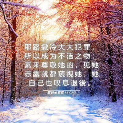 Picture 05 - 耶 利 米 哀 歌 1:8 CUVS - 耶 路 撒 冷 大 大 犯 罪 ， 所 以 成 - Bible Verse Picture