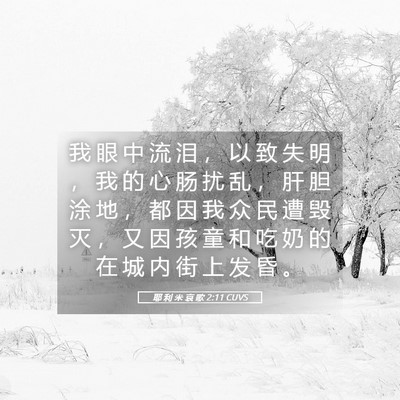 Picture 05 - 耶 利 米 哀 歌 2:11 CUVS - 我 眼 中 流 泪 ， 以 致 失 明 ， 我 - Bible Verse Picture