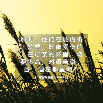 Picture 05 - 耶 利 米 哀 歌 2:12 CUVS - 那 时 ， 他 们 在 城 内 街 上 发 昏 - Bible Verse Picture