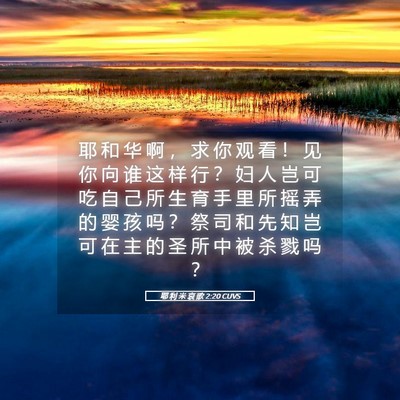 Picture 05 - 耶 利 米 哀 歌 2:20 CUVS - 耶 和 华 啊 ， 求 你 观 看 ！ 见 你 - Bible Verse Picture