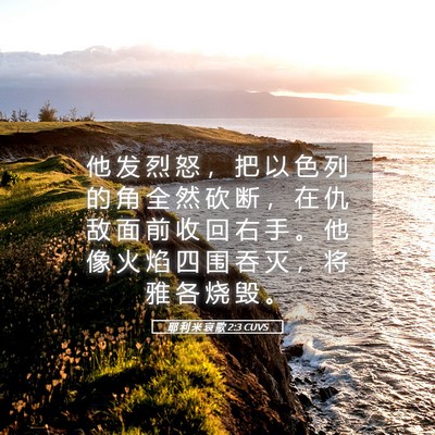 Picture 05 - 耶 利 米 哀 歌 2:3 CUVS - 他 发 烈 怒 ， 把 以 色 列 的 角 全 - Bible Verse Picture