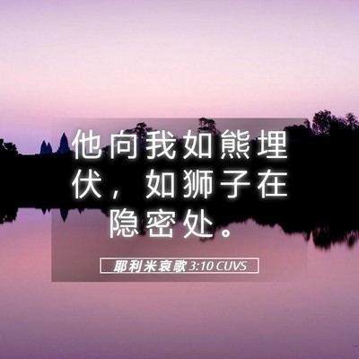 Picture 05 - 耶 利 米 哀 歌 3:10 CUVS - 他 向 我 如 熊 埋 伏 ， 如 狮 子 在 - Bible Verse Picture