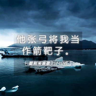 Picture 05 - 耶 利 米 哀 歌 3:12 CUVS - 他 张 弓 将 我 当 作 箭 靶 子 - Bible Verse Picture