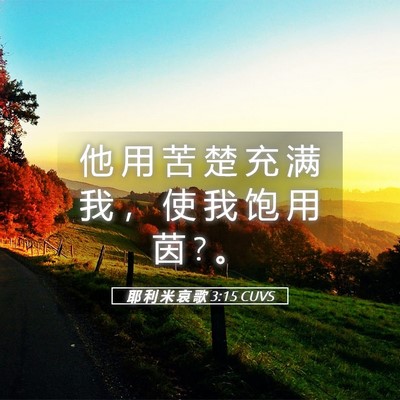 Picture 05 - 耶 利 米 哀 歌 3:15 CUVS - 他 用 苦 楚 充 满 我 ， 使 我 饱 用 - Bible Verse Picture