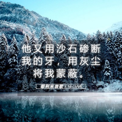 Picture 05 - 耶 利 米 哀 歌 3:16 CUVS - 他 又 用 沙 石 碜 断 我 的 牙 ， 用 - Bible Verse Picture