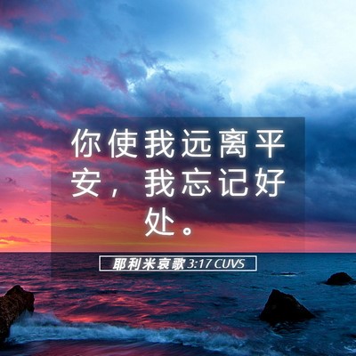 Picture 05 - 耶 利 米 哀 歌 3:17 CUVS - 你 使 我 远 离 平 安 ， 我 忘 记 好 - Bible Verse Picture