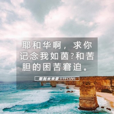 Picture 05 - 耶 利 米 哀 歌 3:19 CUVS - 耶 和 华 啊 ， 求 你 记 念 我 如 茵 ? - Bible Verse Picture