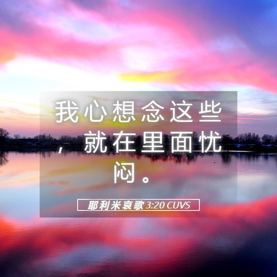 Picture 05 - 耶 利 米 哀 歌 3:20 CUVS - 我 心 想 念 这 些 ， 就 在 里 面 忧 - Bible Verse Picture