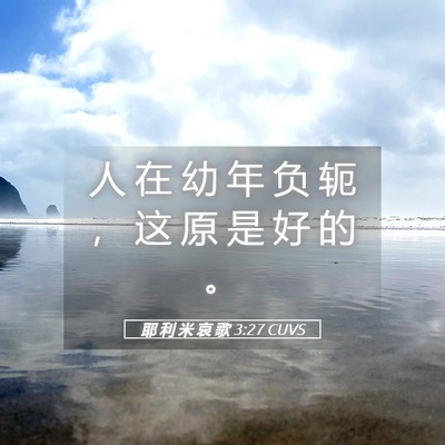 Picture 05 - 耶 利 米 哀 歌 3:27 CUVS - 人 在 幼 年 负 轭 ， 这 原 是 好 的 - Bible Verse Picture