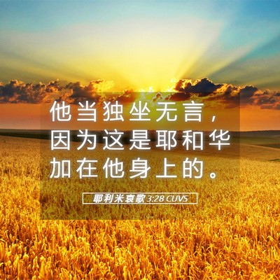 Picture 05 - 耶 利 米 哀 歌 3:28 CUVS - 他 当 独 坐 无 言 ， 因 为 这 是 耶 - Bible Verse Picture
