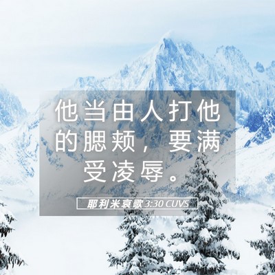 Picture 05 - 耶 利 米 哀 歌 3:30 CUVS - 他 当 由 人 打 他 的 腮 颊 ， 要 满 - Bible Verse Picture