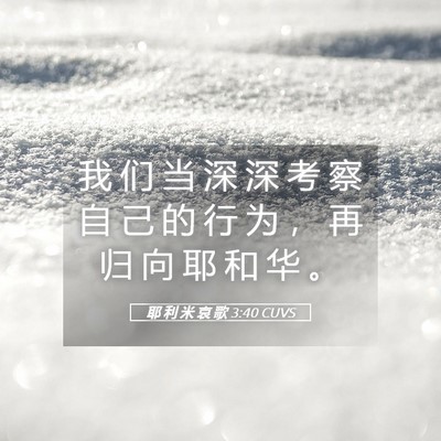 Picture 05 - 耶 利 米 哀 歌 3:40 CUVS - 我 们 当 深 深 考 察 自 己 的 行 为 - Bible Verse Picture