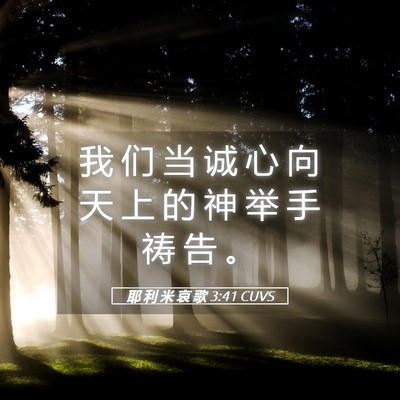 Picture 05 - 耶 利 米 哀 歌 3:41 CUVS - 我 们 当 诚 心 向 天 上 的 神 举 手 - Bible Verse Picture