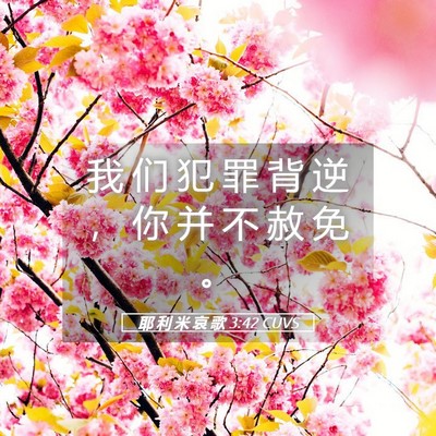 Picture 05 - 耶 利 米 哀 歌 3:42 CUVS - 我 们 犯 罪 背 逆 ， 你 并 不 赦 免 - Bible Verse Picture