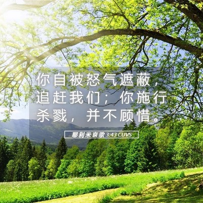 Picture 05 - 耶 利 米 哀 歌 3:43 CUVS - 你 自 被 怒 气 遮 蔽 ， 追 赶 我 们 - Bible Verse Picture