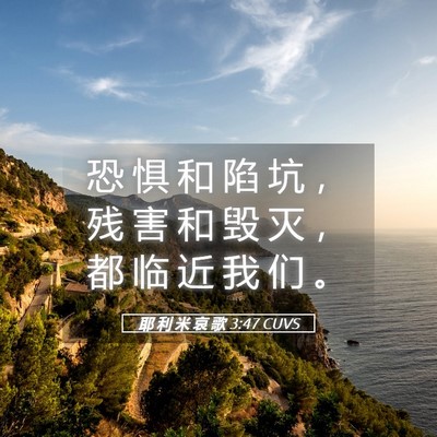 Picture 05 - 耶 利 米 哀 歌 3:47 CUVS - 恐 惧 和 陷 坑 ， 残 害 和 毁 灭 ， - Bible Verse Picture