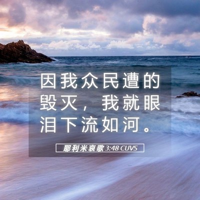 Picture 05 - 耶 利 米 哀 歌 3:48 CUVS - 因 我 众 民 遭 的 毁 灭 ， 我 就 眼 - Bible Verse Picture