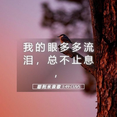 Picture 05 - 耶 利 米 哀 歌 3:49 CUVS - 我 的 眼 多 多 流 泪 ， 总 不 止 息 - Bible Verse Picture