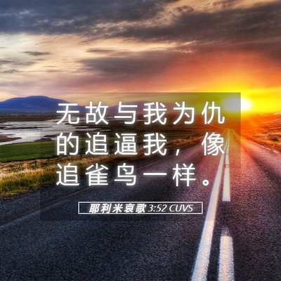 Picture 05 - 耶 利 米 哀 歌 3:52 CUVS - 无 故 与 我 为 仇 的 追 逼 我 ， 像 - Bible Verse Picture