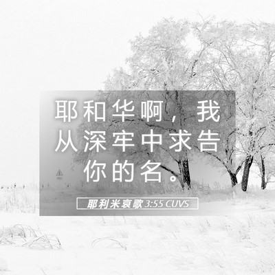 Picture 05 - 耶 利 米 哀 歌 3:55 CUVS - 耶 和 华 啊 ， 我 从 深 牢 中 求 告 - Bible Verse Picture