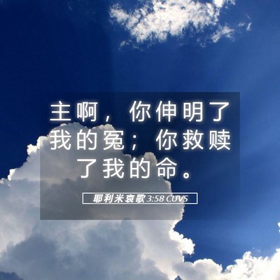 Picture 05 - 耶 利 米 哀 歌 3:58 CUVS - 主 啊 ， 你 伸 明 了 我 的 冤 ； 你 - Bible Verse Picture
