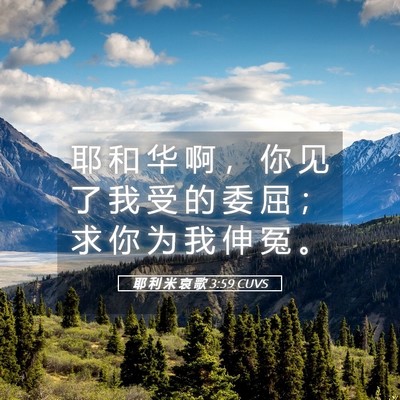Picture 05 - 耶 利 米 哀 歌 3:59 CUVS - 耶 和 华 啊 ， 你 见 了 我 受 的 委 - Bible Verse Picture