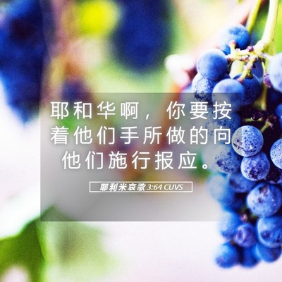 Picture 05 - 耶 利 米 哀 歌 3:64 CUVS - 耶 和 华 啊 ， 你 要 按 着 他 们 手 - Bible Verse Picture