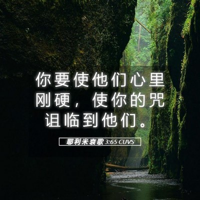 Picture 05 - 耶 利 米 哀 歌 3:65 CUVS - 你 要 使 他 们 心 里 刚 硬 ， 使 你 - Bible Verse Picture