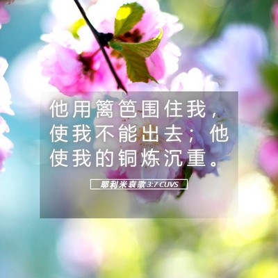 Picture 05 - 耶 利 米 哀 歌 3:7 CUVS - 他 用 篱 笆 围 住 我 ， 使 我 不 能 - Bible Verse Picture