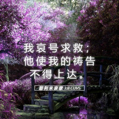 Picture 05 - 耶 利 米 哀 歌 3:8 CUVS - 我 哀 号 求 救 ； 他 使 我 的 祷 告 - Bible Verse Picture