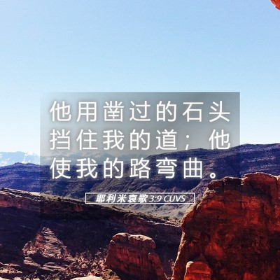 Picture 05 - 耶 利 米 哀 歌 3:9 CUVS - 他 用 凿 过 的 石 头 挡 住 我 的 道 - Bible Verse Picture