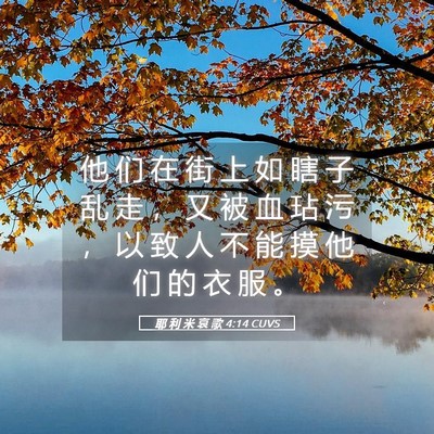 Picture 05 - 耶 利 米 哀 歌 4:14 CUVS - 他 们 在 街 上 如 瞎 子 乱 走 ， 又 - Bible Verse Picture