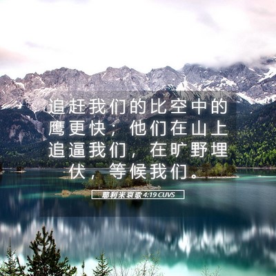 Picture 05 - 耶 利 米 哀 歌 4:19 CUVS - 追 赶 我 们 的 比 空 中 的 鹰 更 快 - Bible Verse Picture