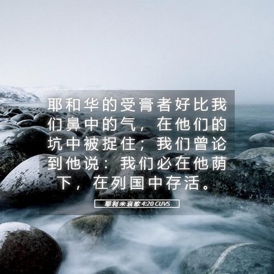 Picture 05 - 耶 利 米 哀 歌 4:20 CUVS - 耶 和 华 的 受 膏 者 好 比 我 们 鼻 - Bible Verse Picture
