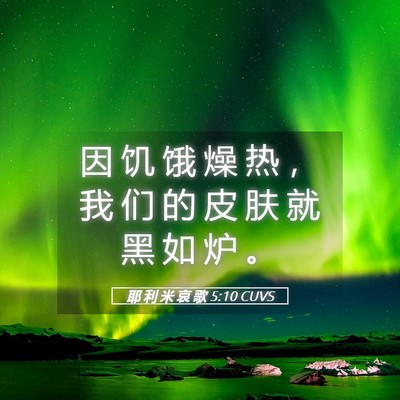Picture 05 - 耶 利 米 哀 歌 5:10 CUVS - 因 饥 饿 燥 热 ， 我 们 的 皮 肤 就 - Bible Verse Picture