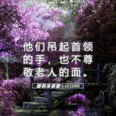 Picture 05 - 耶 利 米 哀 歌 5:12 CUVS - 他 们 吊 起 首 领 的 手 ， 也 不 尊 - Bible Verse Picture