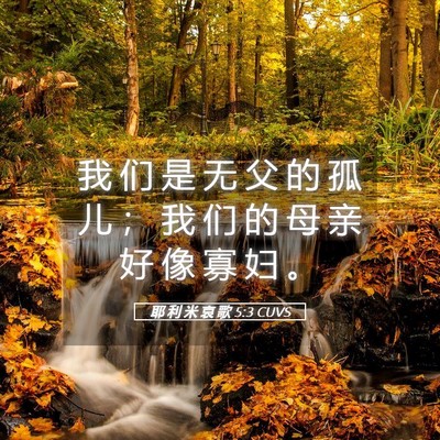 Picture 05 - 耶 利 米 哀 歌 5:3 CUVS - 我 们 是 无 父 的 孤 儿 ； 我 们 的 - Bible Verse Picture