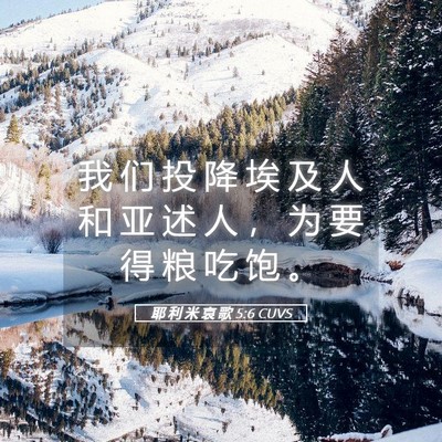 Picture 05 - 耶 利 米 哀 歌 5:6 CUVS - 我 们 投 降 埃 及 人 和 亚 述 人 ， - Bible Verse Picture