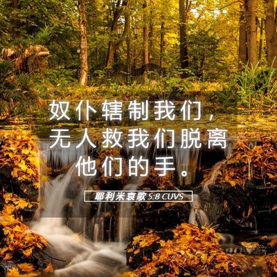 Picture 05 - 耶 利 米 哀 歌 5:8 CUVS - 奴 仆 辖 制 我 们 ， 无 人 救 我 们 - Bible Verse Picture